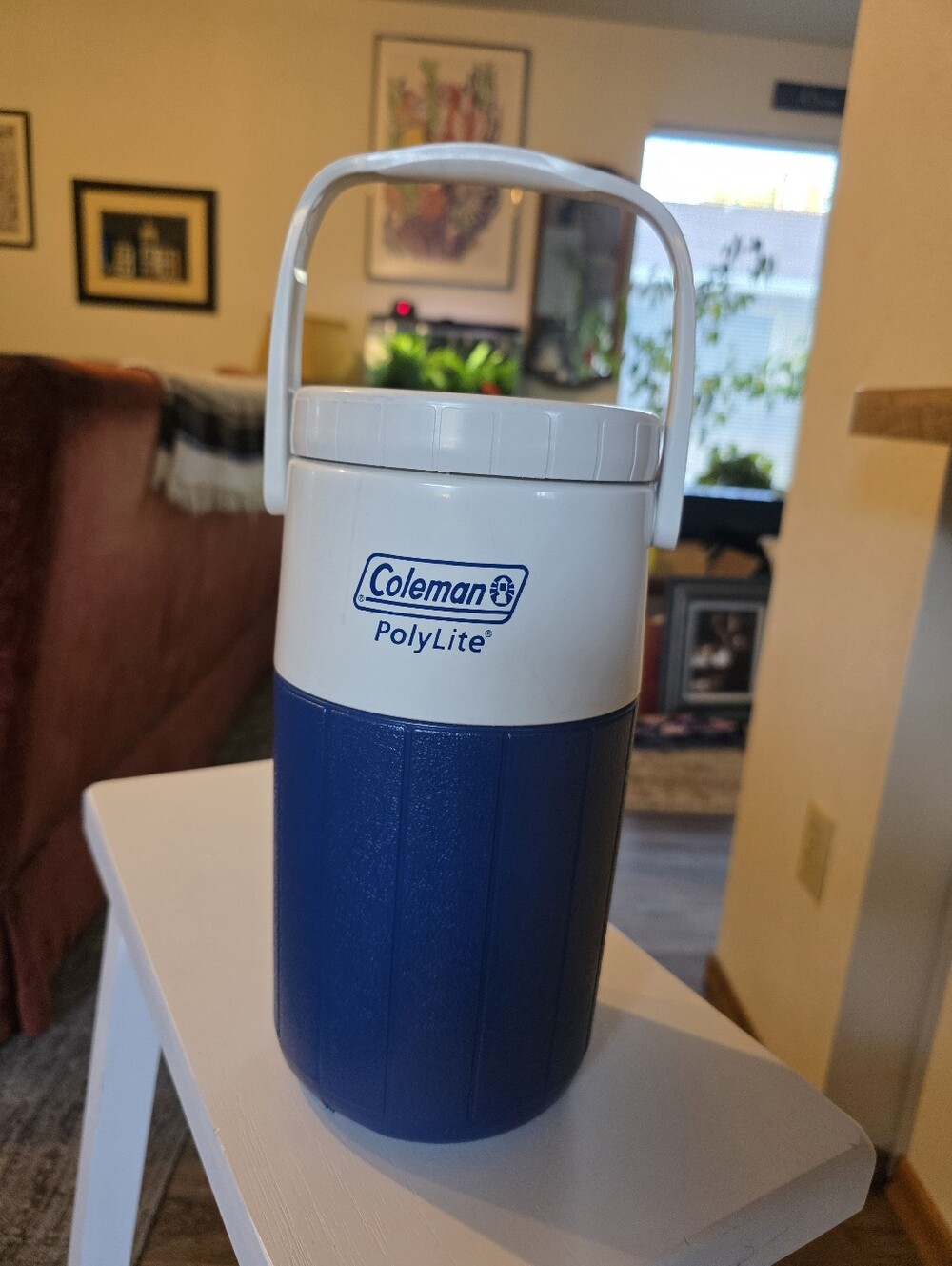 Coleman PolyLite 1/2 Water Jug